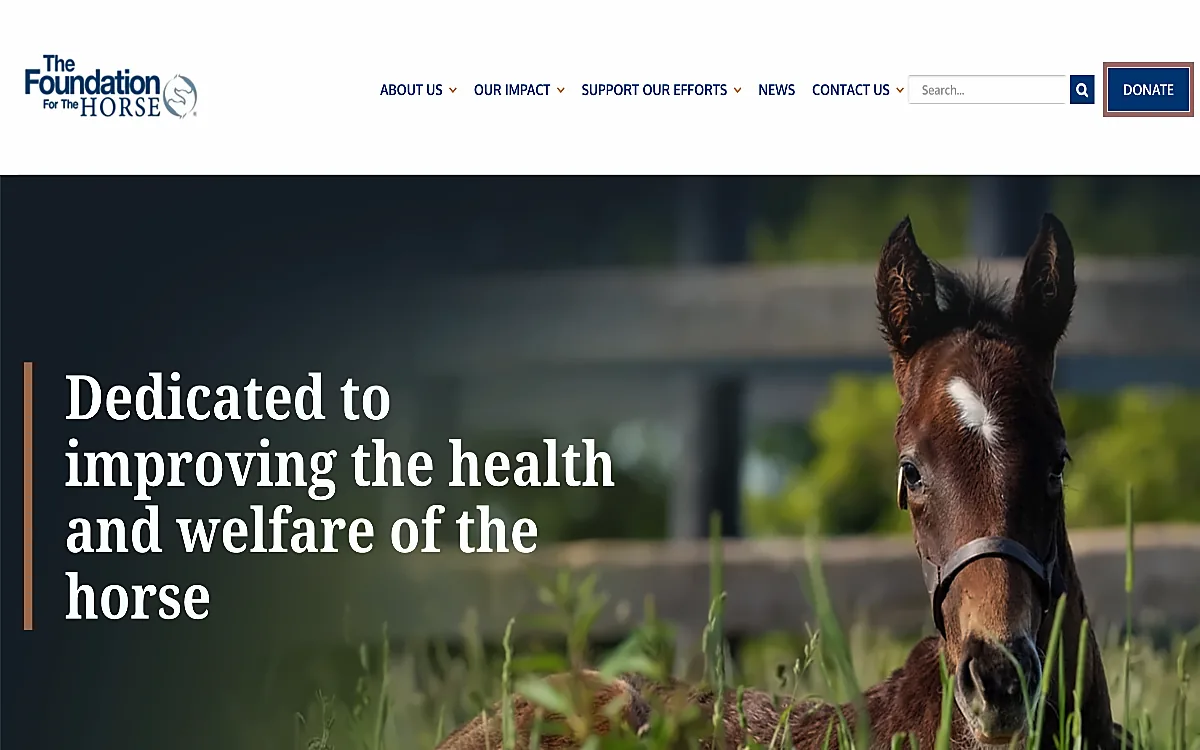 Foundation for the Horse website screenshot
